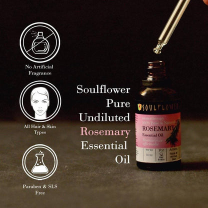 https://cdn.shopify.com/s/files/1/1857/6931/products/ulISwimjwH.jpg?v=1614911243