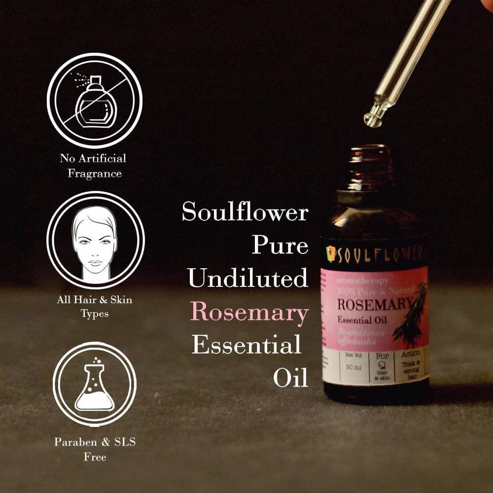 https://cdn.shopify.com/s/files/1/1857/6931/products/ulISwimjwH.jpg?v=1614911243