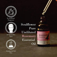 https://cdn.shopify.com/s/files/1/1857/6931/products/ulISwimjwH.jpg?v=1614911243