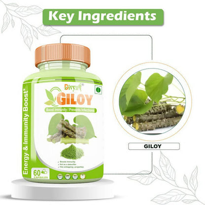 https://cdn.shopify.com/s/files/1/1857/6931/products/ulyo8HF5Y1.jpg?v=1672210646