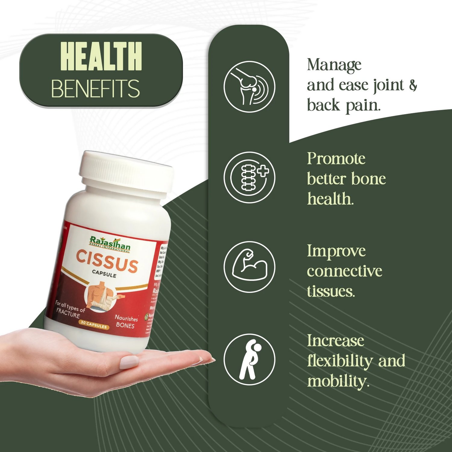 https://cdn.shopify.com/s/files/1/1857/6931/files/unjuPdUpBf.png?v=1760515443