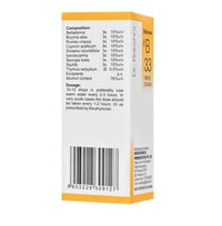 https://cdn.shopify.com/s/files/1/1857/6931/products/urK3HhLNFf.jpg?v=1737559087