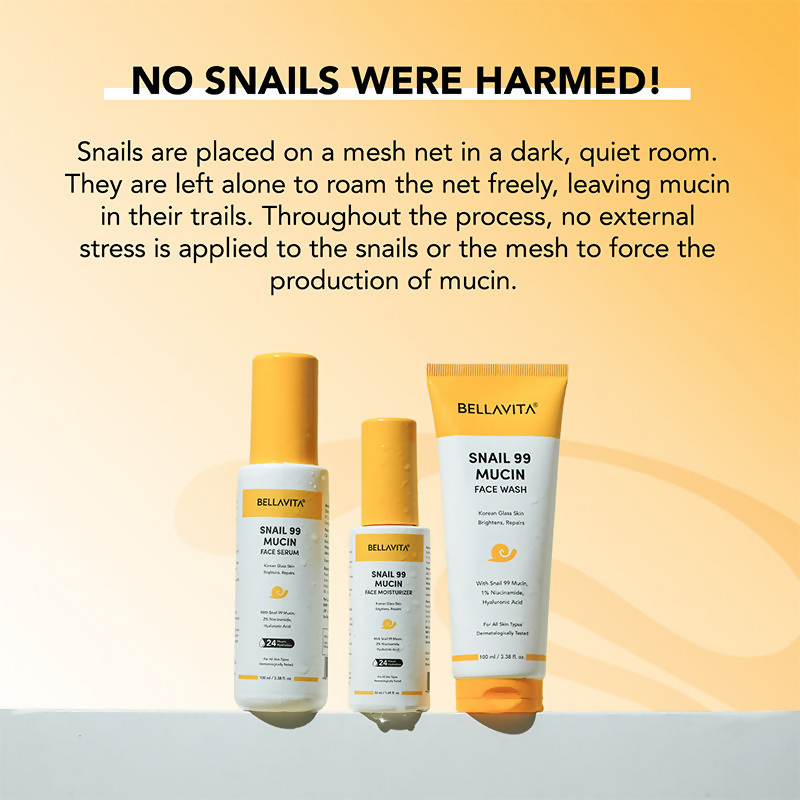 https://cdn.shopify.com/s/files/1/1857/6931/files/usv146jfLx.png?v=1744349837