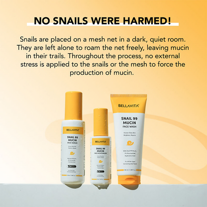 https://cdn.shopify.com/s/files/1/1857/6931/files/usv146jfLx.png?v=1744349837