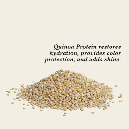 https://cdn.shopify.com/s/files/1/1857/6931/products/uu18yWDwdr.jpg?v=1627008145