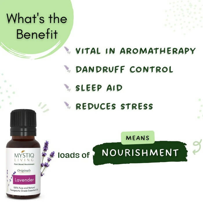 https://cdn.shopify.com/s/files/1/1857/6931/products/uvNW2G8e7q.jpg?v=1664275660