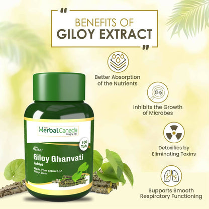 https://cdn.shopify.com/s/files/1/1857/6931/products/uwHp9Xhjvn.jpg?v=1702129104