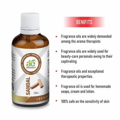 https://cdn.shopify.com/s/files/1/1857/6931/files/uzdIIAJop4-129389.jpg?v=1736143866