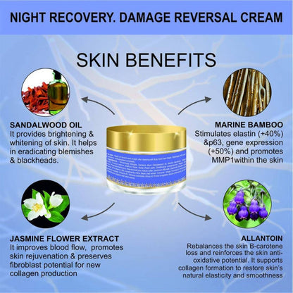 https://cdn.shopify.com/s/files/1/1857/6931/products/v02UHQga7z.jpg?v=1630327479