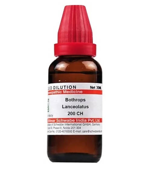 https://cdn.shopify.com/s/files/1/1857/6931/products/v1I0qlnPMd.jpg?v=1640865747