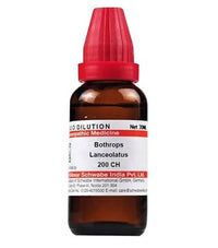 https://cdn.shopify.com/s/files/1/1857/6931/products/v1I0qlnPMd.jpg?v=1640865747
