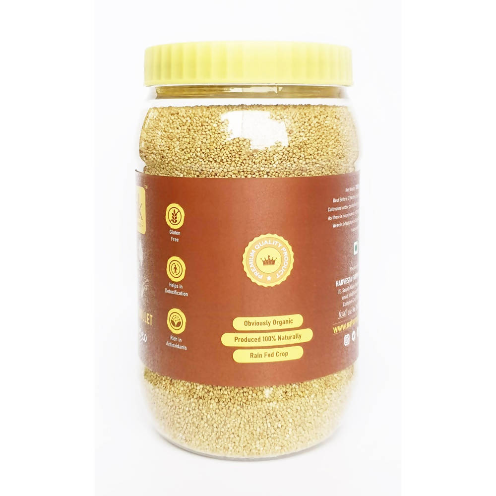 Image 1 of 1300 gm for the product Nature's Trunk Brown Top Millets (Andu Korralu)