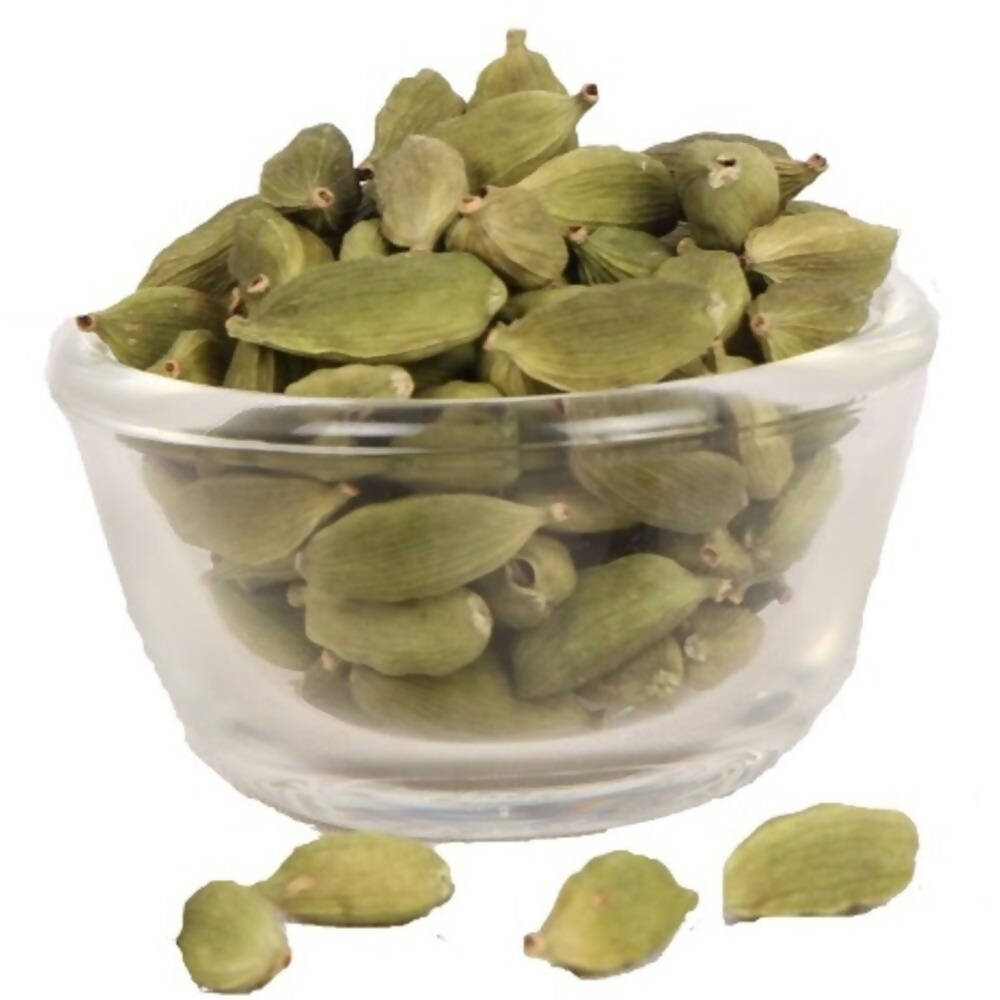 https://cdn.shopify.com/s/files/1/1857/6931/products/v32Ou4idL9.jpg?v=1762284668