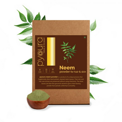 https://cdn.shopify.com/s/files/1/1857/6931/files/v34wMaQtRZ.png?v=1731320257