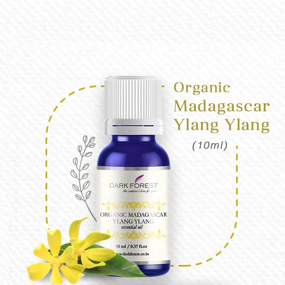 https://cdn.shopify.com/s/files/1/1857/6931/products/v3JdmGKelZ.jpg?v=1623983714