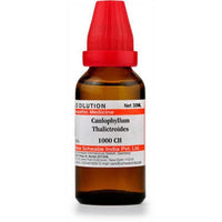 https://cdn.shopify.com/s/files/1/1857/6931/products/v3p8WQp2Xc.jpg?v=1623841093
