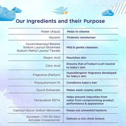 https://cdn.shopify.com/s/files/1/1857/6931/files/v4WVYmrrxZ-404278.jpg?v=1736151426
