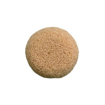 https://cdn.shopify.com/s/files/1/1857/6931/products/v5b1rrPtl2.jpg?v=1629355711