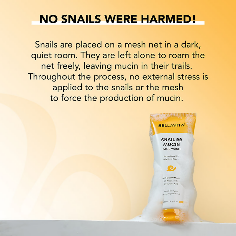 https://cdn.shopify.com/s/files/1/1857/6931/files/v6L6xaCqi8.png?v=1744349810