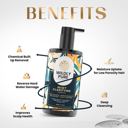 https://cdn.shopify.com/s/files/1/1857/6931/files/v6o2TVegCt.png?v=1732023260