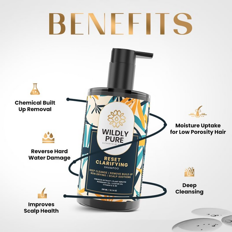 https://cdn.shopify.com/s/files/1/1857/6931/files/v6o2TVegCt.png?v=1732023260