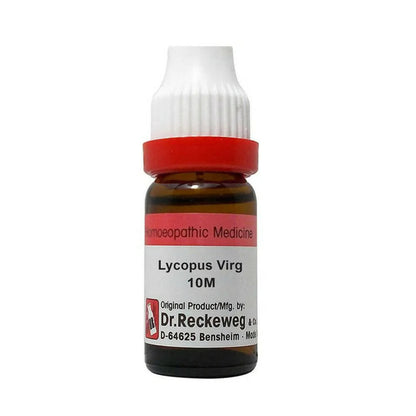 https://cdn.shopify.com/s/files/1/1857/6931/products/v7n3CX2VXa.jpg?v=1679145086