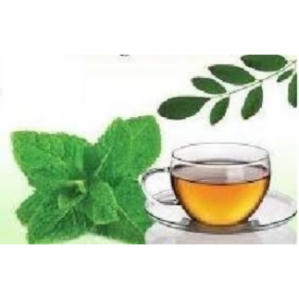 https://cdn.shopify.com/s/files/1/1857/6931/files/v8ml84Azp3.jpg?v=1765368747