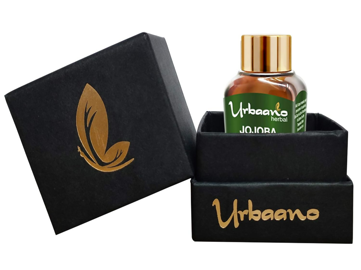 https://cdn.shopify.com/s/files/1/1857/6931/files/v9MiFaUQdR.png?v=1746596866
