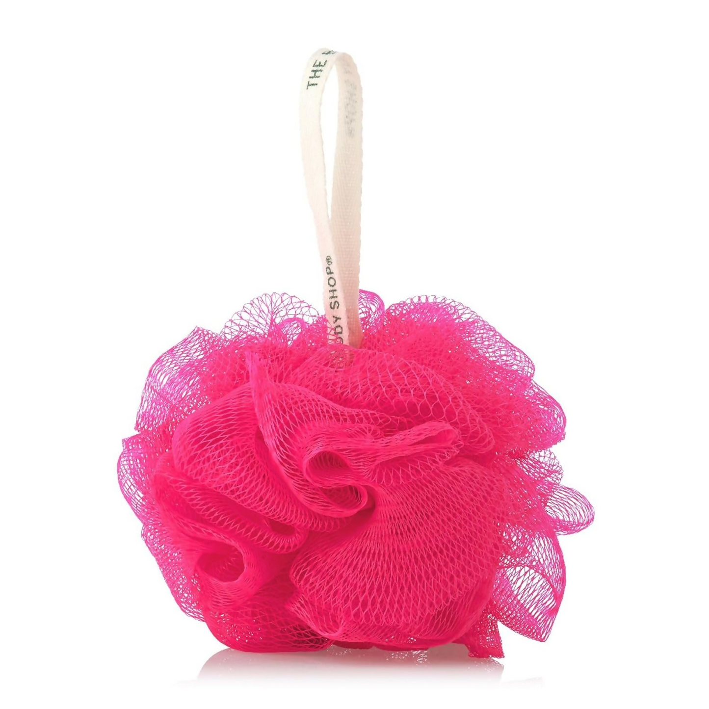 https://cdn.shopify.com/s/files/1/1857/6931/files/vB4sJElFea.png?v=1767786346