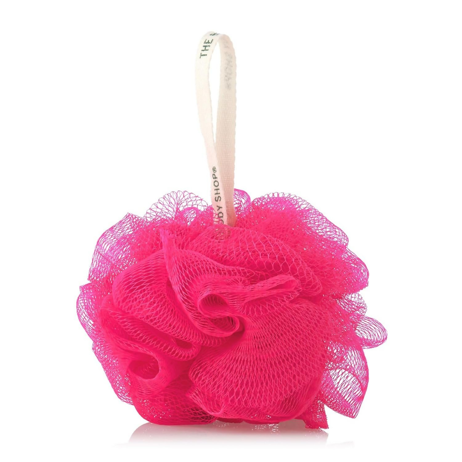 https://cdn.shopify.com/s/files/1/1857/6931/files/vB4sJElFea.png?v=1767786346