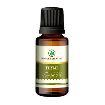 https://cdn.shopify.com/s/files/1/1857/6931/products/vBLzaujwcq.jpg?v=1762343932