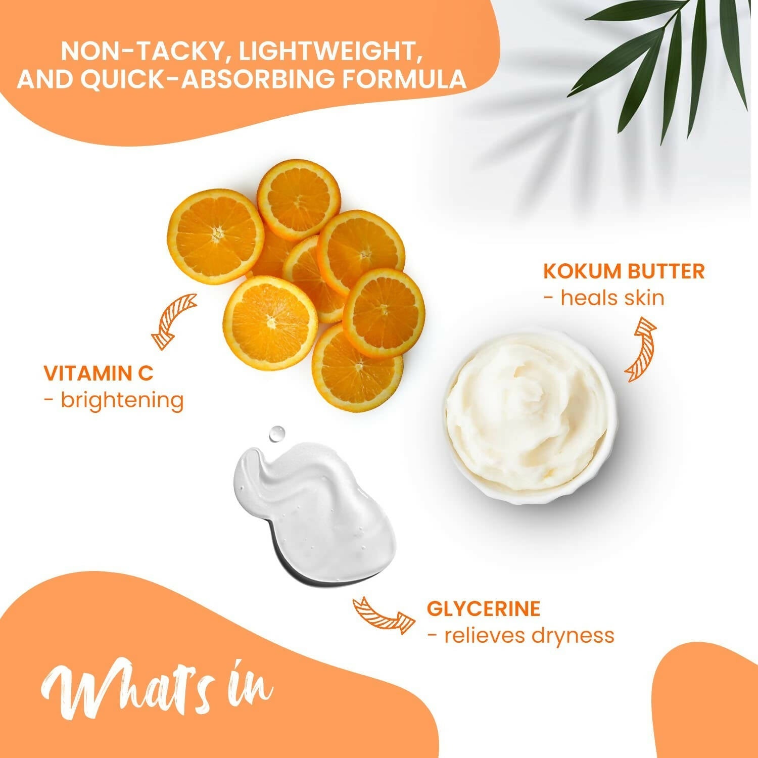 https://cdn.shopify.com/s/files/1/1857/6931/products/vBkgGtaDgk.jpg?v=1680934128