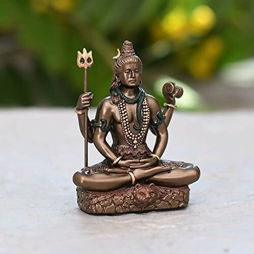 https://cdn.shopify.com/s/files/1/1857/6931/files/vD65Mqt8mx.jpg?v=1715002382