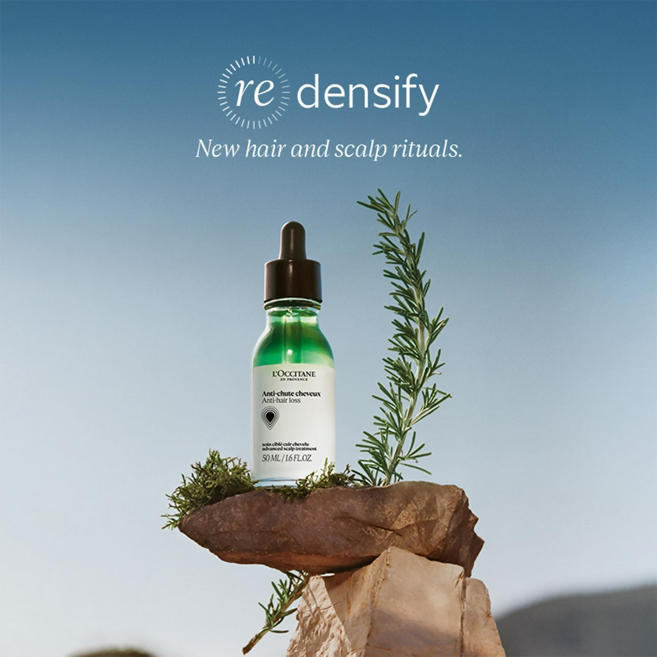 https://cdn.shopify.com/s/files/1/1857/6931/files/vDAnnTTz7m.png?v=1727091100