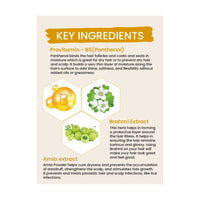 https://cdn.shopify.com/s/files/1/1857/6931/products/vDFXCScFaz.jpg?v=1707916788