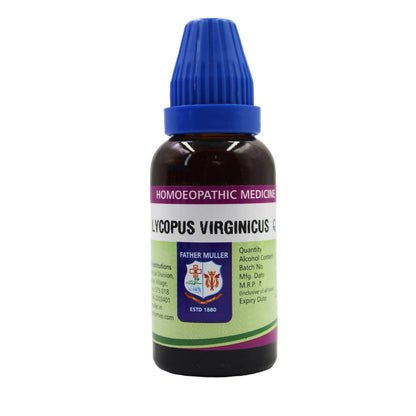 https://cdn.shopify.com/s/files/1/1857/6931/files/vFTNnLk6DE.jpg?v=1717141253