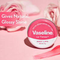 https://cdn.shopify.com/s/files/1/1857/6931/files/vGmJ55tUO8.png?v=1727775327
