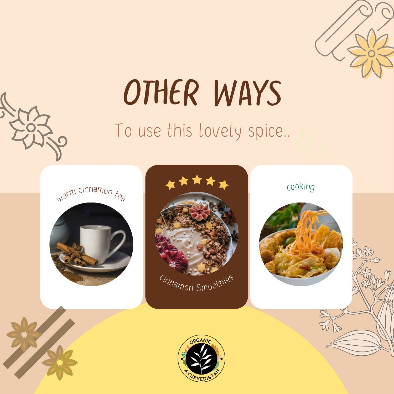 https://cdn.shopify.com/s/files/1/1857/6931/products/vGtzrvqZI0.jpg?v=1683291132