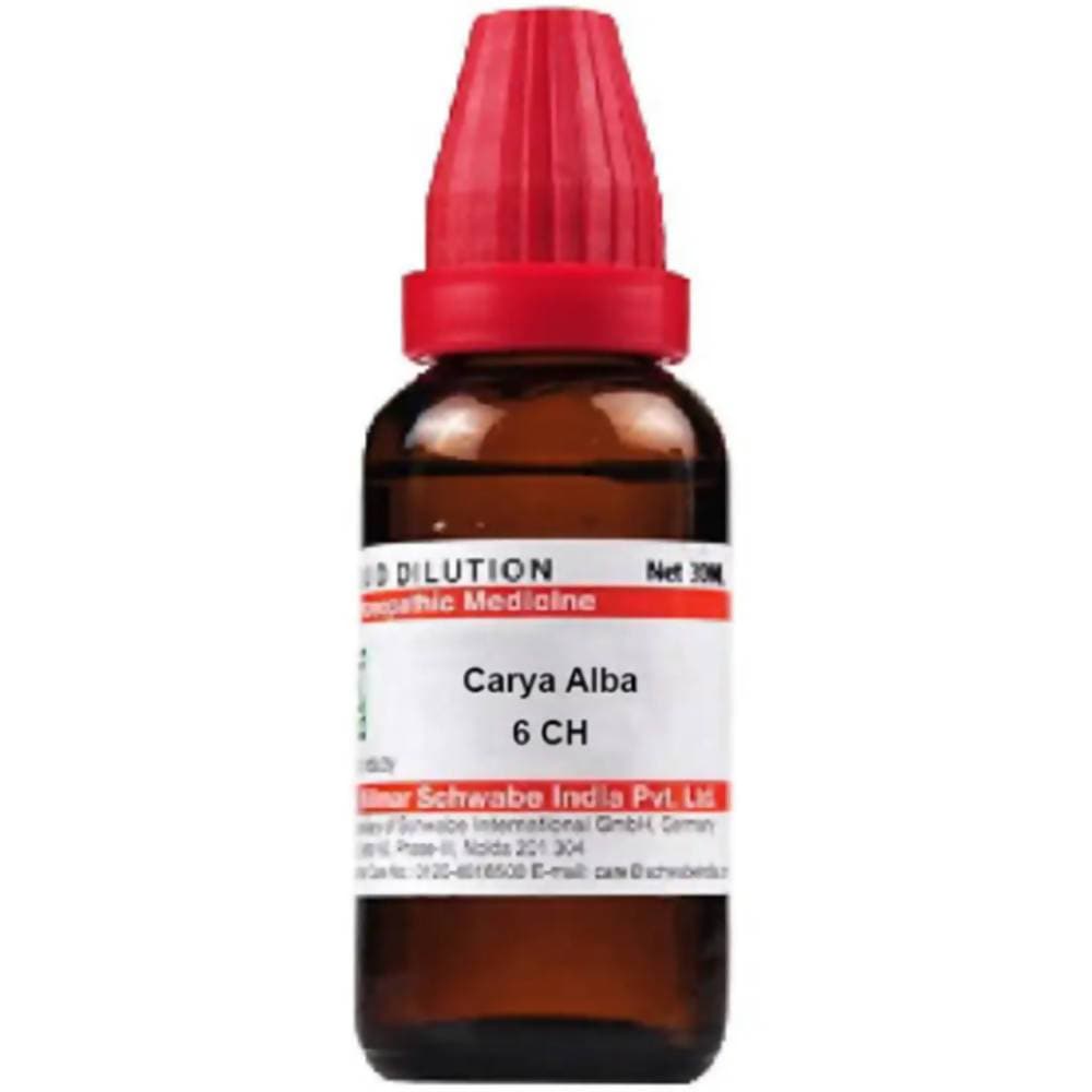 https://cdn.shopify.com/s/files/1/1857/6931/products/vIzQa0MtKP.jpg?v=1613912163