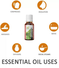 https://cdn.shopify.com/s/files/1/1857/6931/files/vKZi9xyZQG-466661.jpg?v=1736143807