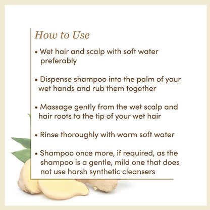 https://cdn.shopify.com/s/files/1/1857/6931/products/vMuLyMB29b.jpg?v=1667213681