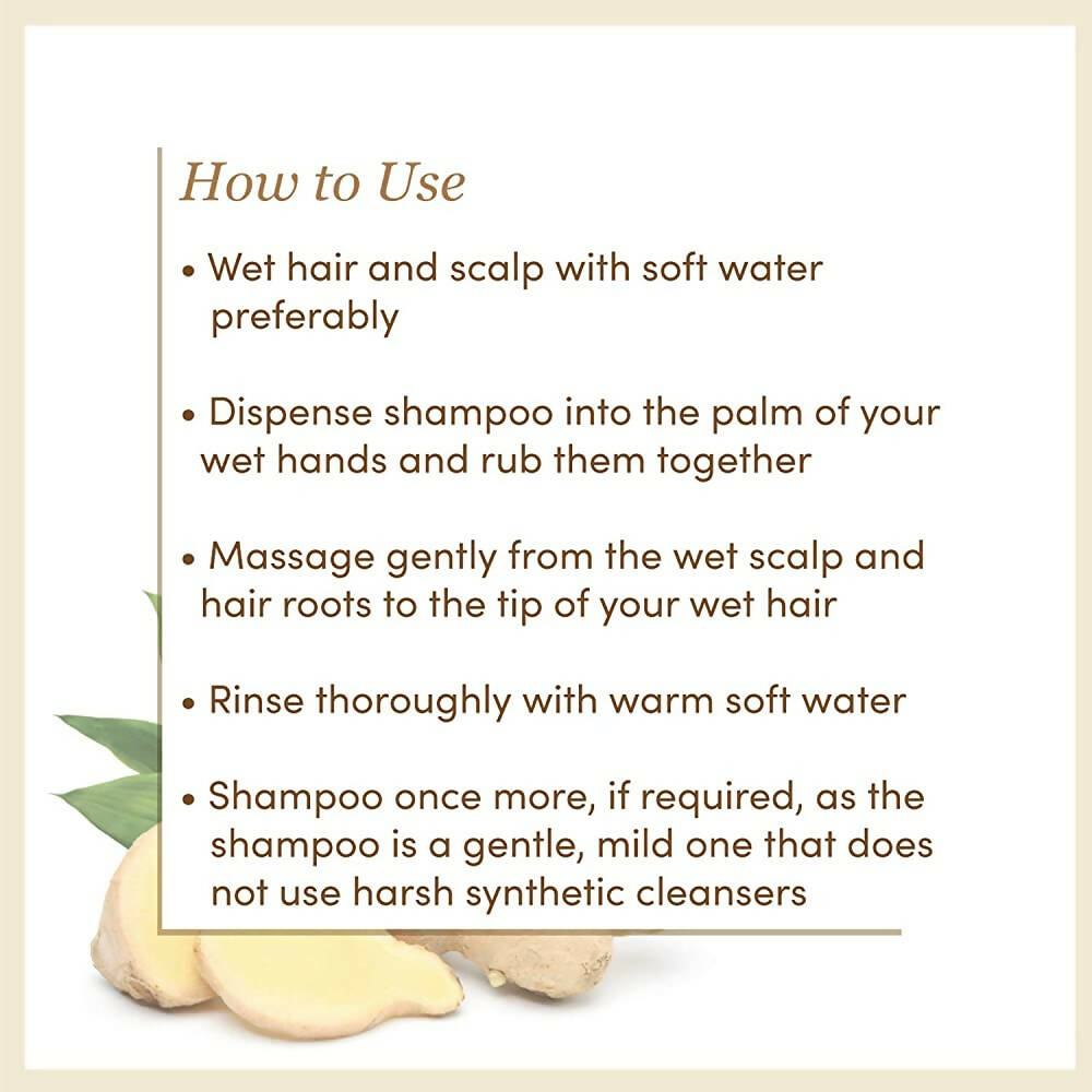 https://cdn.shopify.com/s/files/1/1857/6931/products/vMuLyMB29b.jpg?v=1667213681