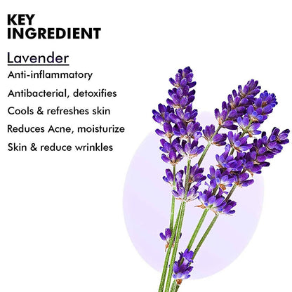 https://cdn.shopify.com/s/files/1/1857/6931/products/vN3nnaAH8z.jpg?v=1638015364