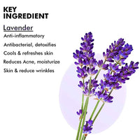https://cdn.shopify.com/s/files/1/1857/6931/products/vN3nnaAH8z.jpg?v=1638015364