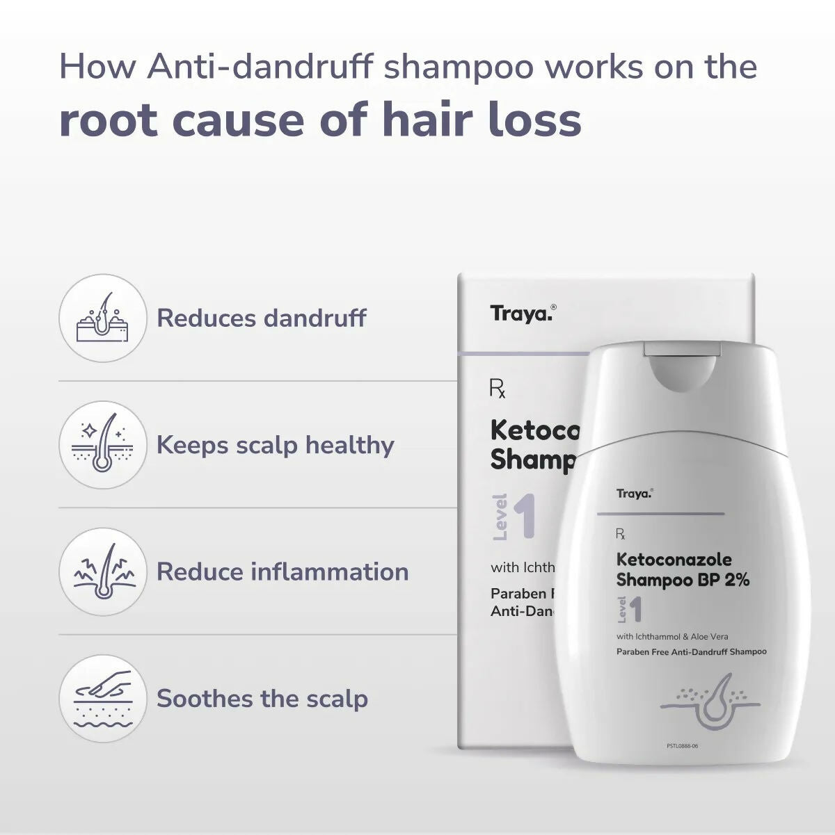 https://cdn.shopify.com/s/files/1/1857/6931/files/vOWTMUK0O0.jpg?v=1767779438