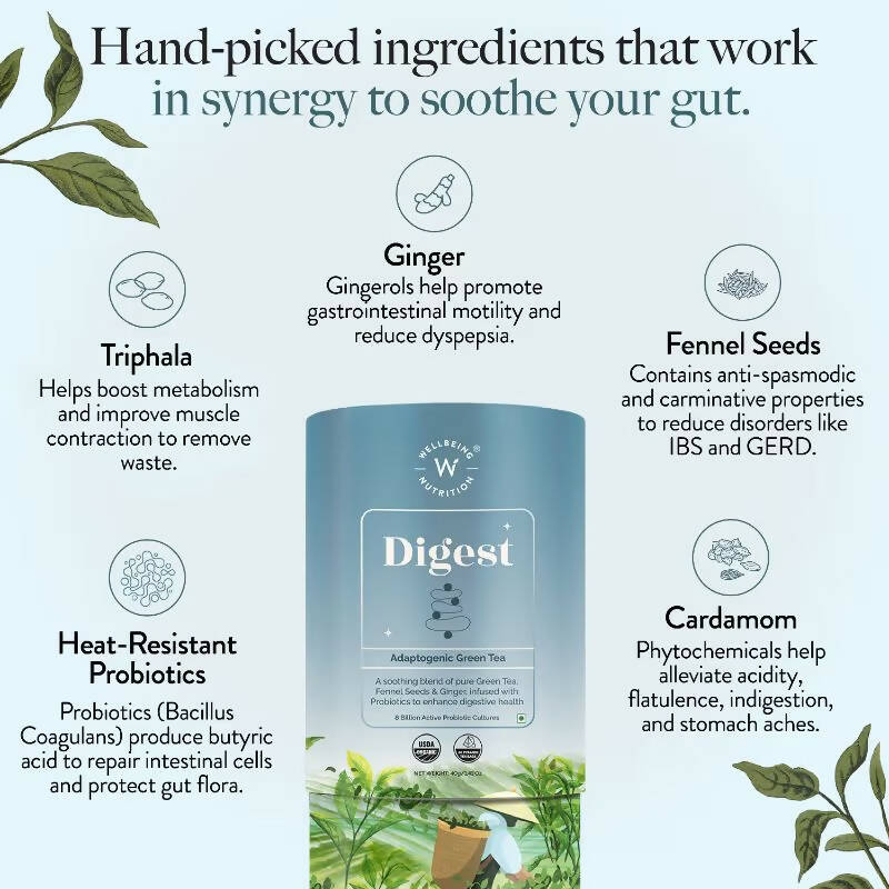 https://cdn.shopify.com/s/files/1/1857/6931/products/vRGh2l0AX0.jpg?v=1704537516