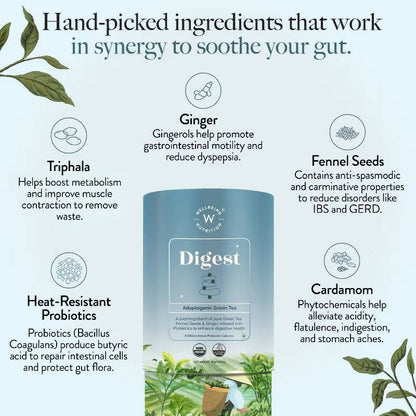 https://cdn.shopify.com/s/files/1/1857/6931/products/vRGh2l0AX0.jpg?v=1704537516