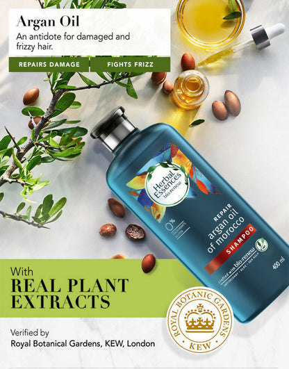 https://cdn.shopify.com/s/files/1/1857/6931/files/vSBNUxQbbd.jpg?v=1773130293
