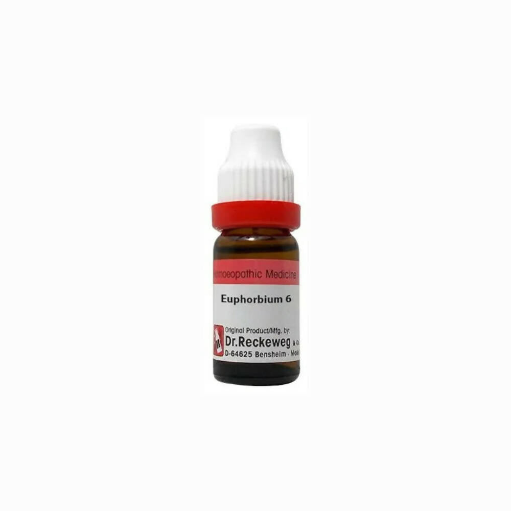 https://cdn.shopify.com/s/files/1/1857/6931/products/vSfh5SXF4S.jpg?v=1679403460