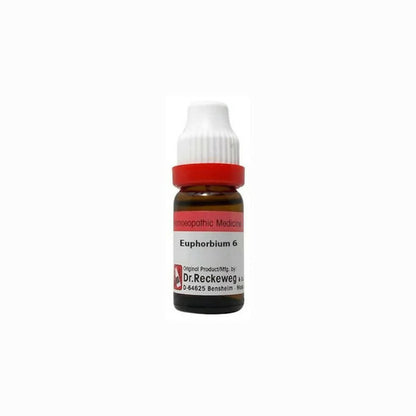 https://cdn.shopify.com/s/files/1/1857/6931/products/vSfh5SXF4S.jpg?v=1679403460